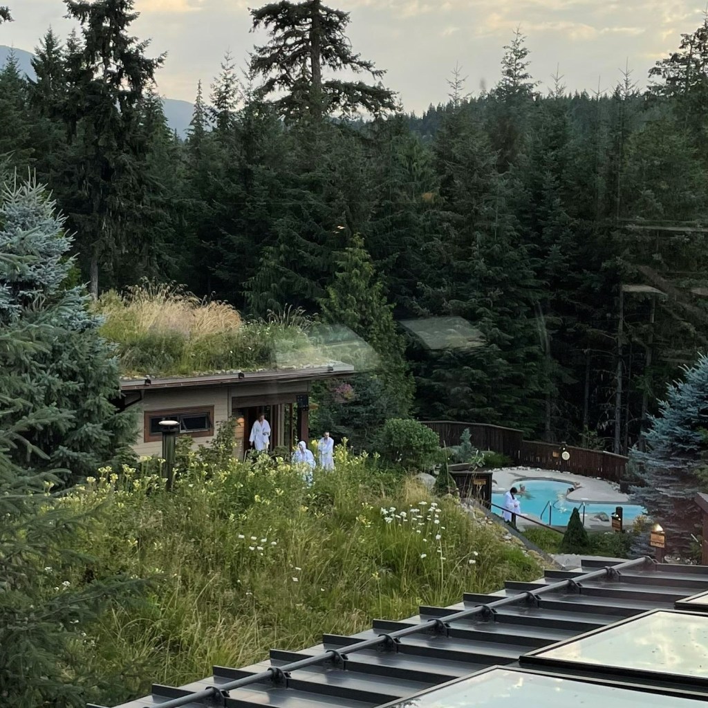 Scandinave Spa Review